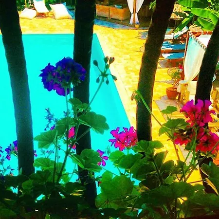 Boutique 3* Sarıgerme
