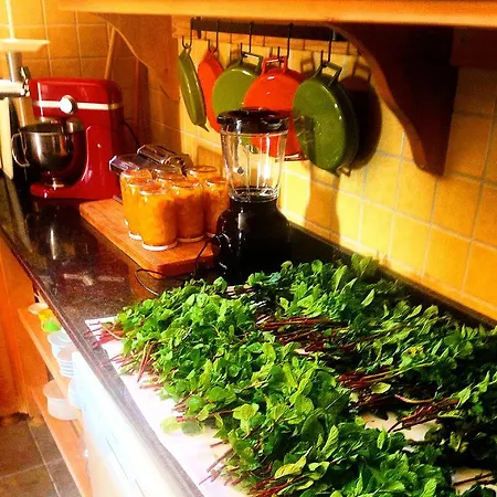 Boutique Szálloda Sarigerme