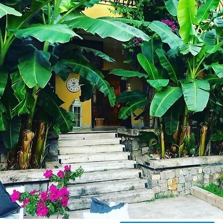 Boutique 3* سَريغيرمه
