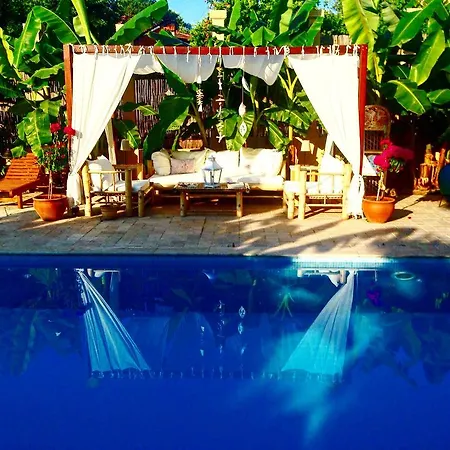 Boutique فندق